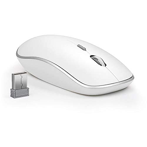 Wireless Mouse for Laptop，with USB Nano 2400 DPI Portable Mobile Optical Cordless Mouse Mice for Laptop (Silver+White)
